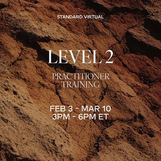 LEVEL 2 Standard Training | February 3 - March 10, 2026