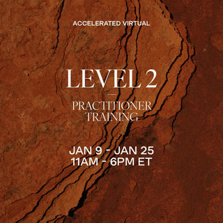 LEVEL 2 Accelerated Training | January 9 - 25, 2026