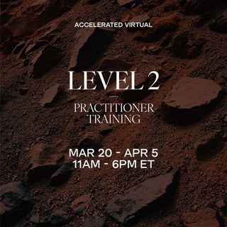 LEVEL 2 Accelerated Training | March 20 - April 5, 2026
