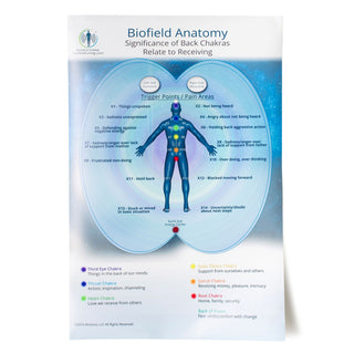 Large Biofield Anatomy Map - Back