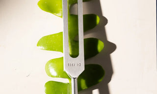 Close up of a 528 hz tuning fork on a green leaf