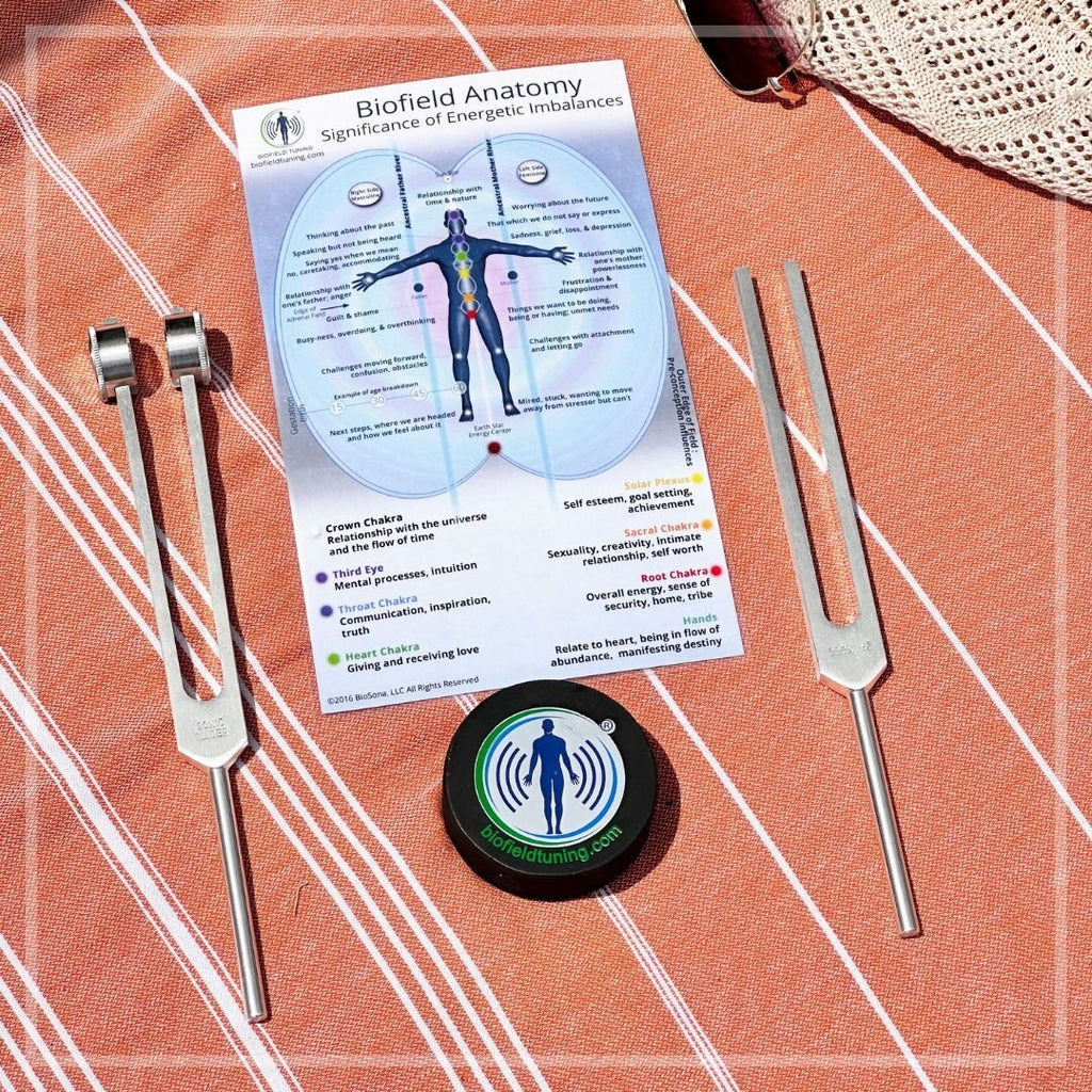 Bio Field Kit The Starter Kit | Premium Sound Healing Kit – Biofield Tuning Store