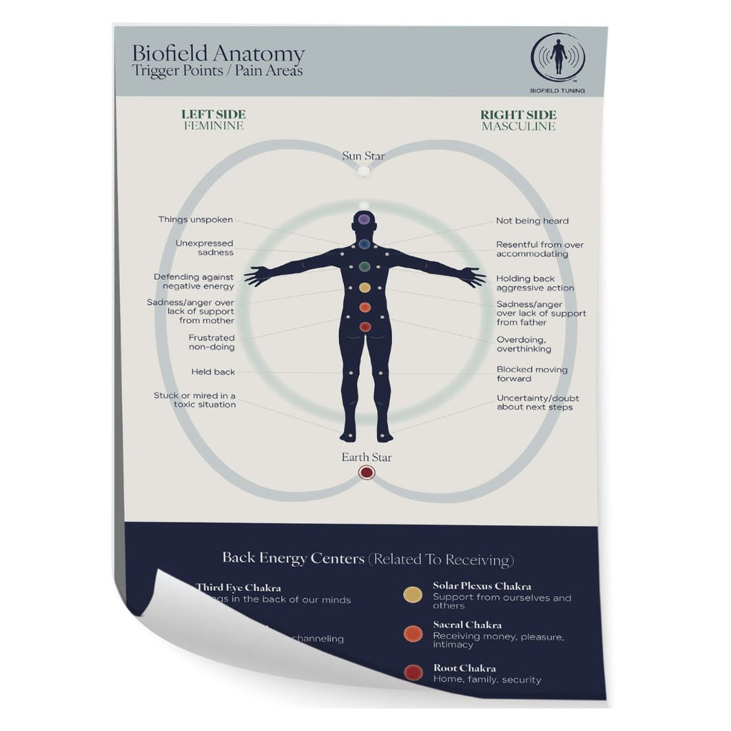 Biofield Tuning Store - Large Biofield Anatomy Map - Back