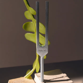 The 528 hz tuning fork for sound healing training and practices