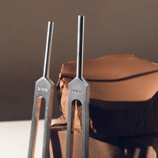 two 54.81 Hz weighted Tuning Forks used for Biofield Tuning sound healing