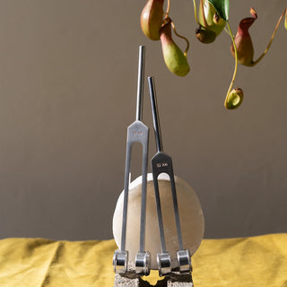 Two 89 Hz weighted Tuning Forks used for Biofield Tuning sound healing