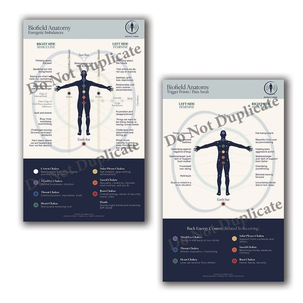 Biofield Tuning | Digital Small Biofield Anatomy Map