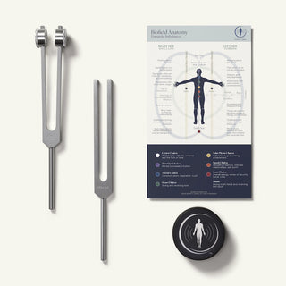 Beginner Tuning Fork Set next to a Biofield Anatomy map