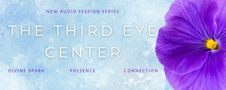 Purple Flower to Represent Third Eye Chakra to Experience Chakra Balancing and Third Eye Chakra Sound Healing