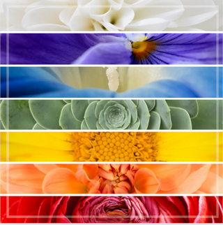 7 Flowers stacked upon one another to represent the 7 chakras in the body for sound healing. 