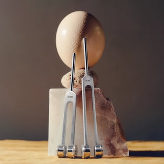 Fibonacci Sequence Tuning Fork Set