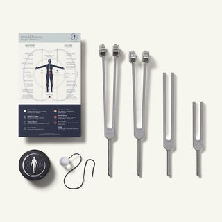 Light toolkit with Biofield Tuning Fork Set and anatomy map