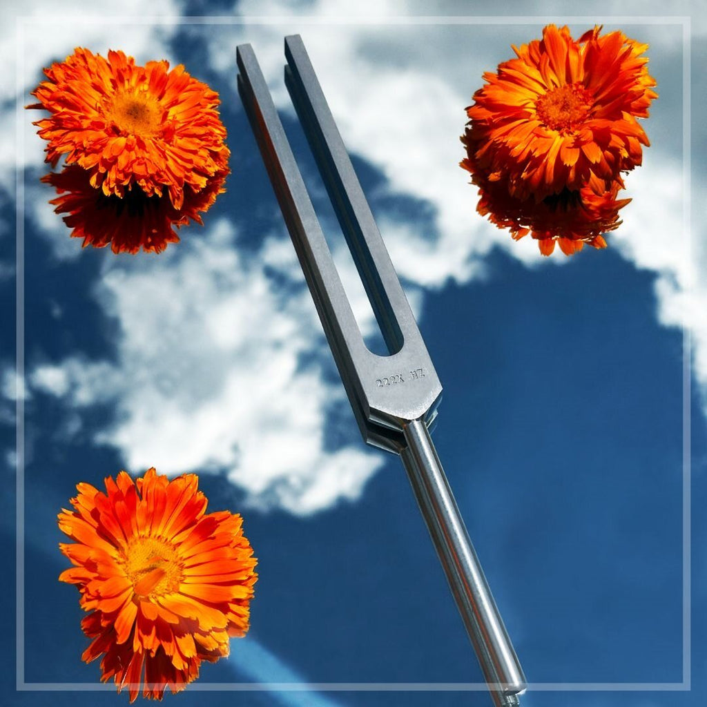 Biofield Tuning Store 222 Hz Tuning Fork | Sound Healing Tuning Fork | Made in the USA ...
