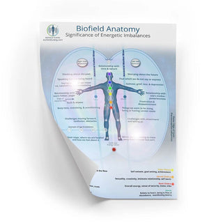 biofield anatomy