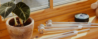 potted plant on a windowsill with weighted tuning forks and a hockey puck activator