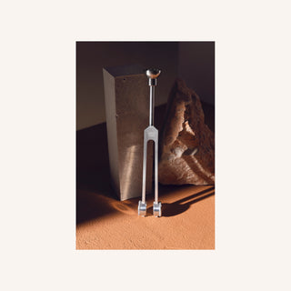 circuit boot tuning fork