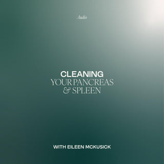 Cleaning Your Pancreas and Spleen sound therapy cover