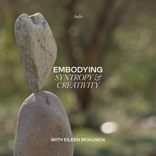 Embodying Syntropy & Creativity