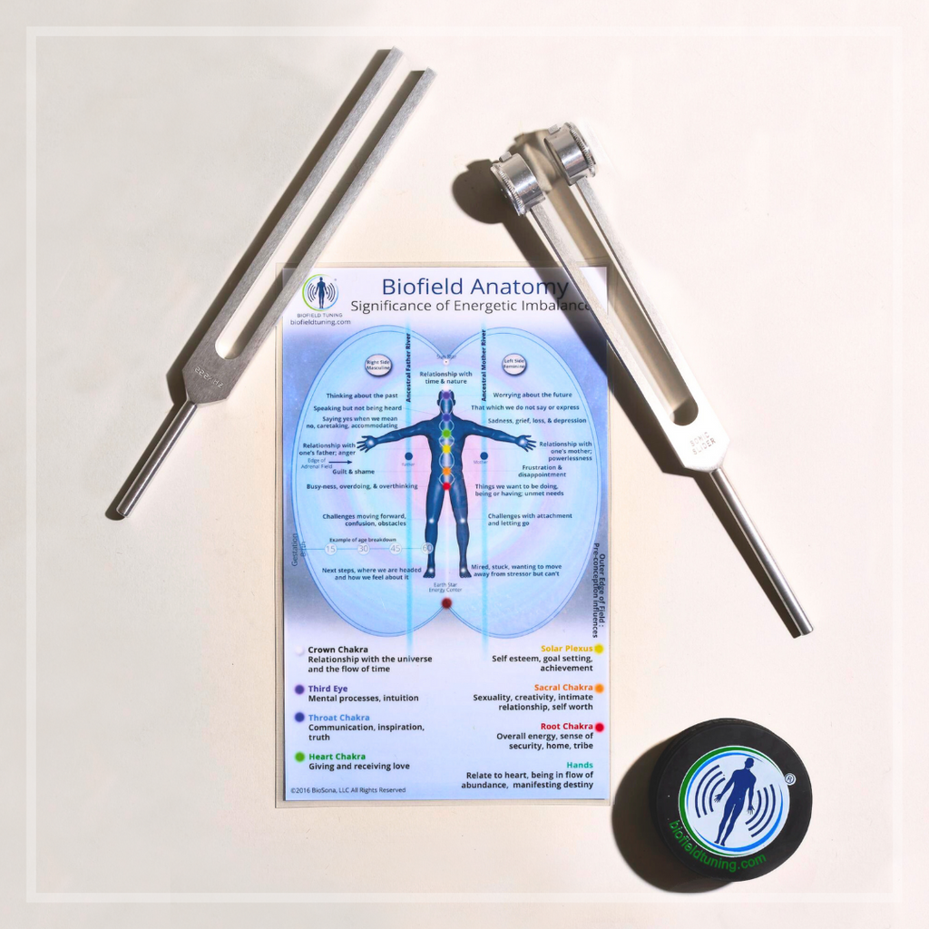 Bio Field Kit The Starter Kit | Premium Sound Healing Kit – Biofield Tuning Store