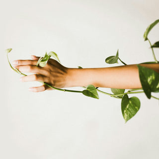 hand reaching through a green leafy plant against a light background