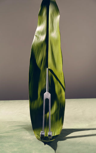 the sonic slider on a leaf