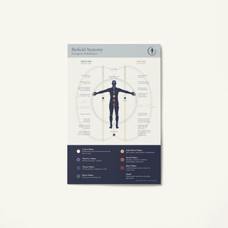 Large Biofield Anatomy Map frontside