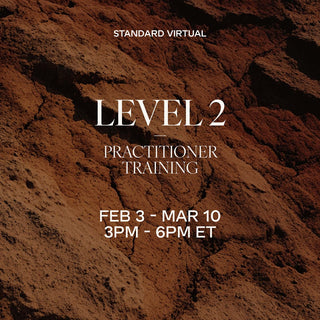 LEVEL 2 Standard Training | February 3 - March 10, 2026