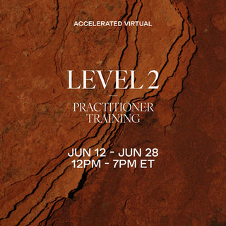 LEVEL 2 Accelerated Training | June 12 - 28, 2026