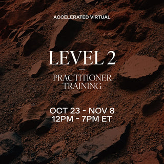 LEVEL 2 Accelerated Training | October 23 - November 8, 2026