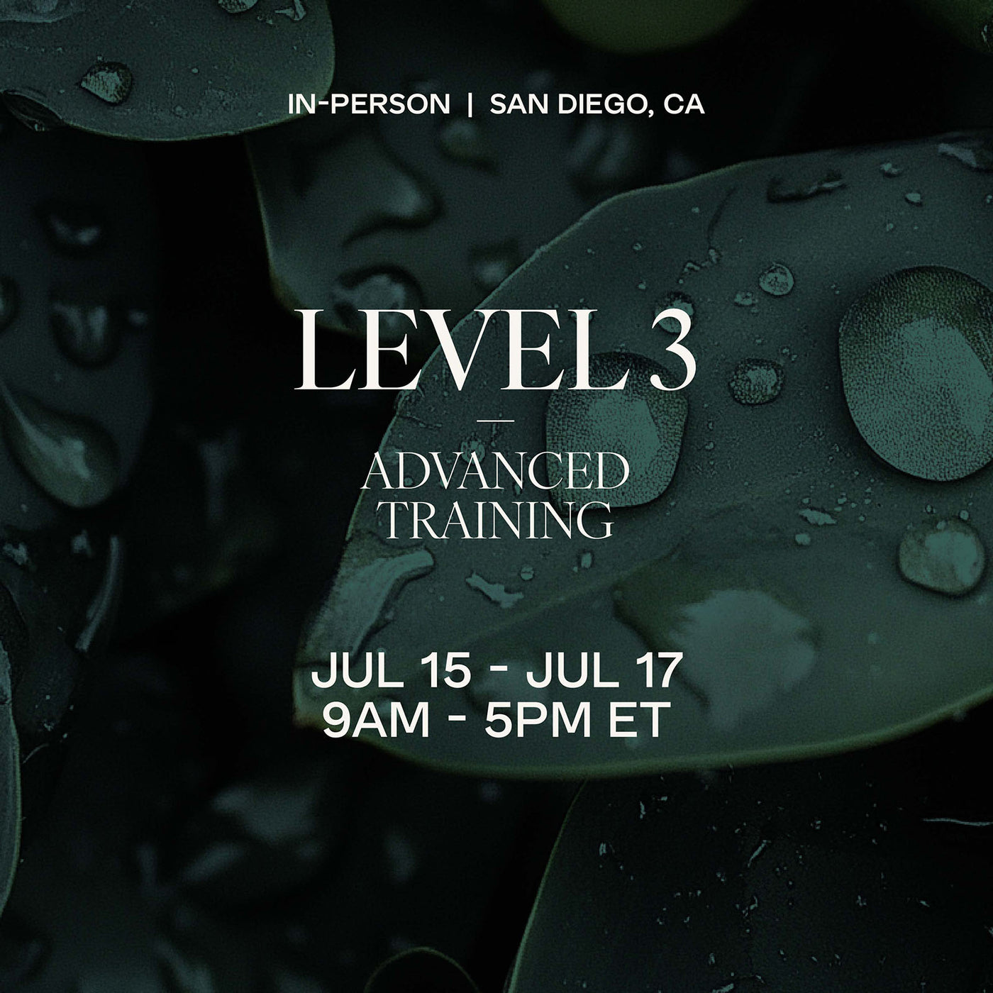 Level 3 | Advanced Module | Biofield Tuning Store