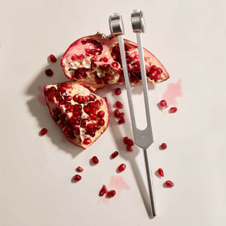 tuning fork resting on a chunk of ripped pomegranate with seeds spilling out on a light background