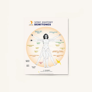Sonic Anatomy Maps demitones