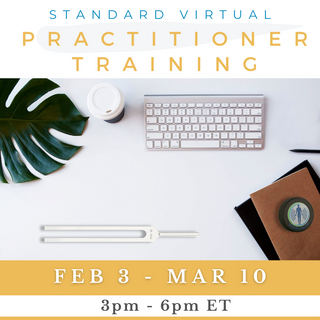 LEVEL 2 Standard Training | February 3 - March 10, 2026