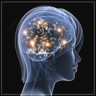 Improving Memory/Brain Health
