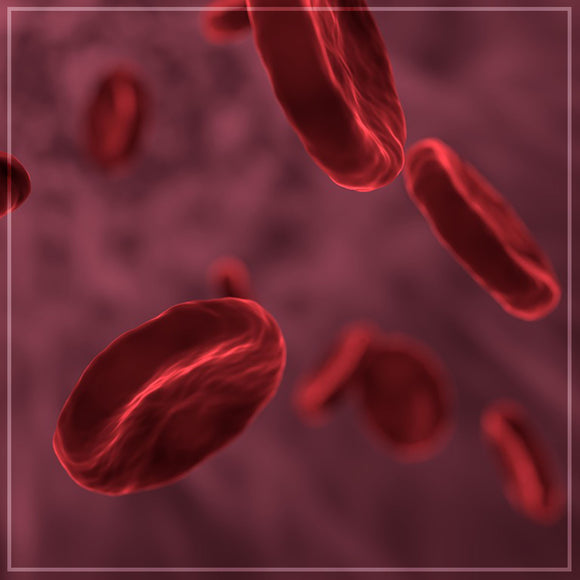 Deep Cleaning the Blood