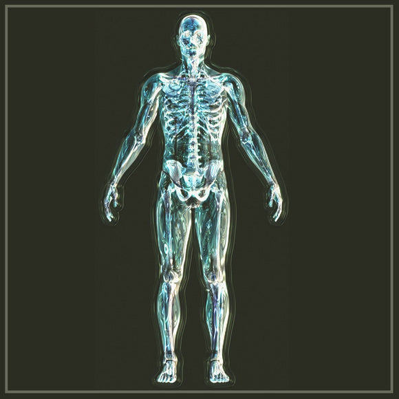 Deep Cleaning the Lymph System