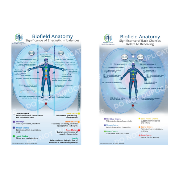 Biofield Tuning | Digital Small Biofield Anatomy Map – Biofield Tuning ...