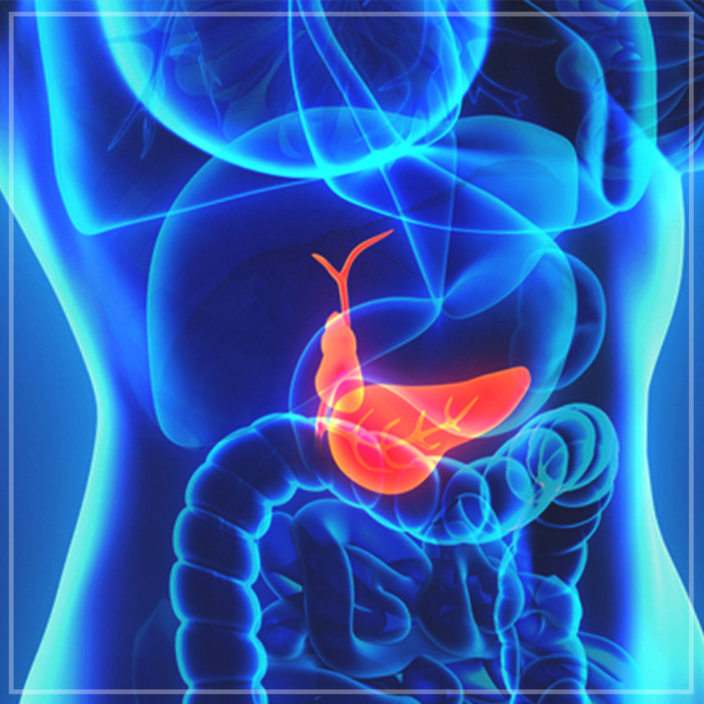 Biofield Tuning Store | Deep Cleaning the Gall Bladder Audio Sessions