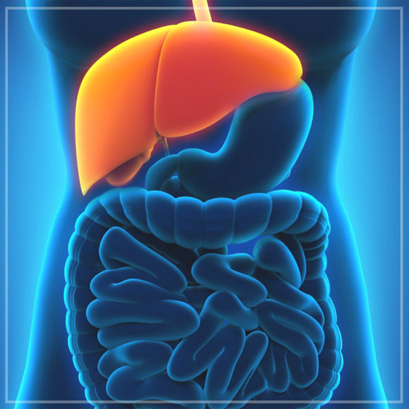 Deep Cleaning the Liver