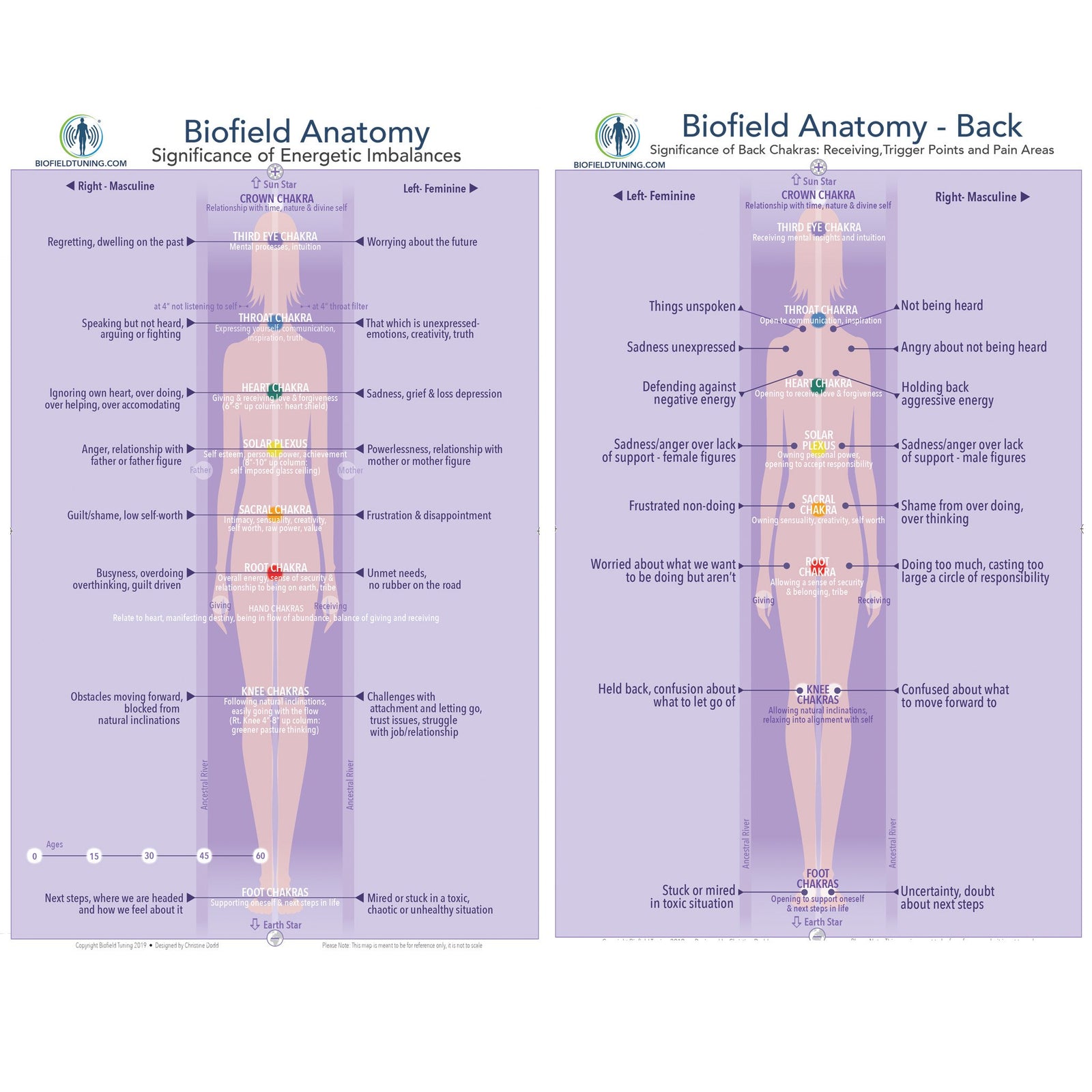 Biofield Tuning | Small Biofield Anatomy Map – Biofield Tuning Store