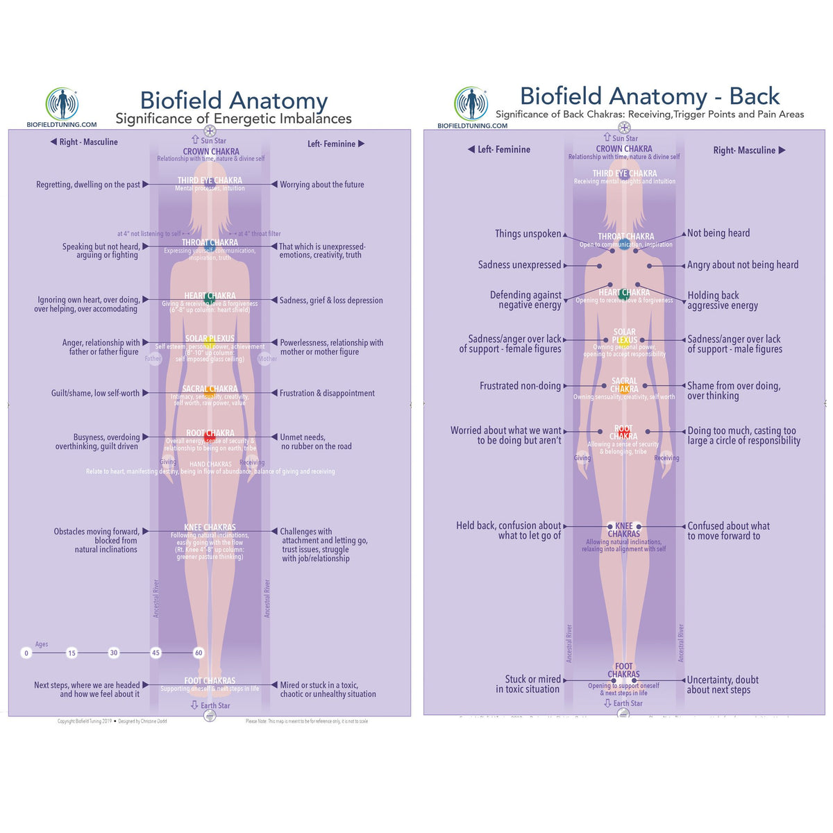 Biofield Tuning | Small Biofield Anatomy Map – Biofield Tuning Store