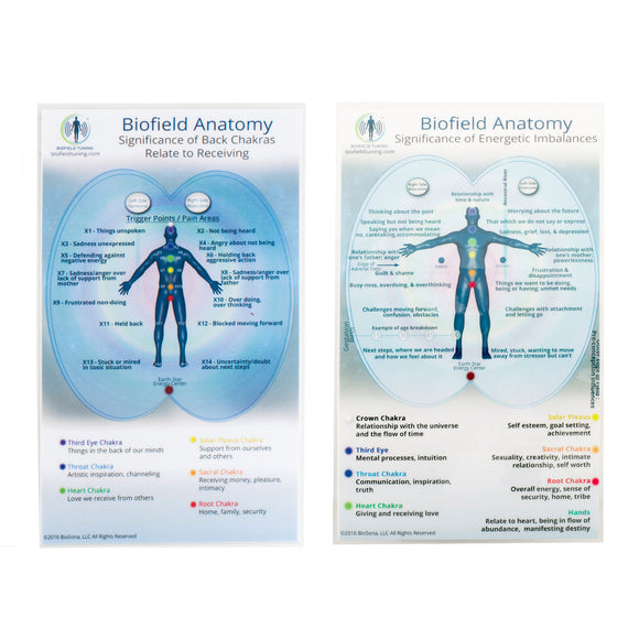 Small Biofield Anatomy Map