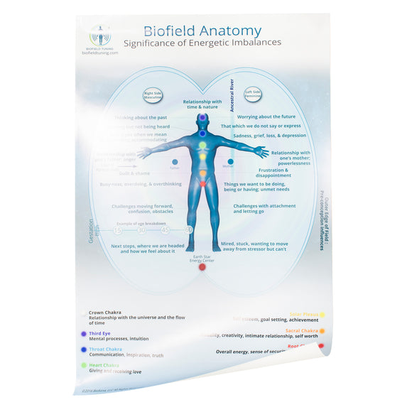 Large Biofield Anatomy Map - Front