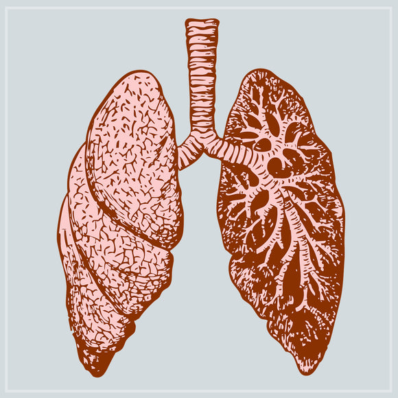 The Respiratory System & Grief
