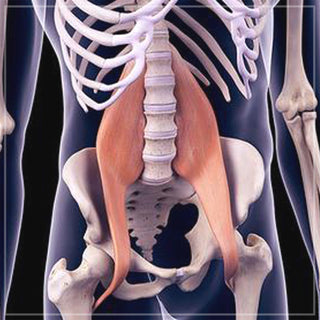 Releasing the Psoas Muscle (Hips / Low Back)