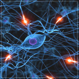 Image of neurons for this educational 4 hour video on raising your voltage through Biofield Tuning sound healing